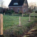 Gekloofde eiken afrasteringpalen