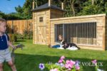 Hondenkennel Hooiberg Lize - Voldux - Image 7