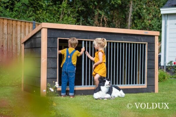 Hondenkennel Reno - Voldux - Image 5